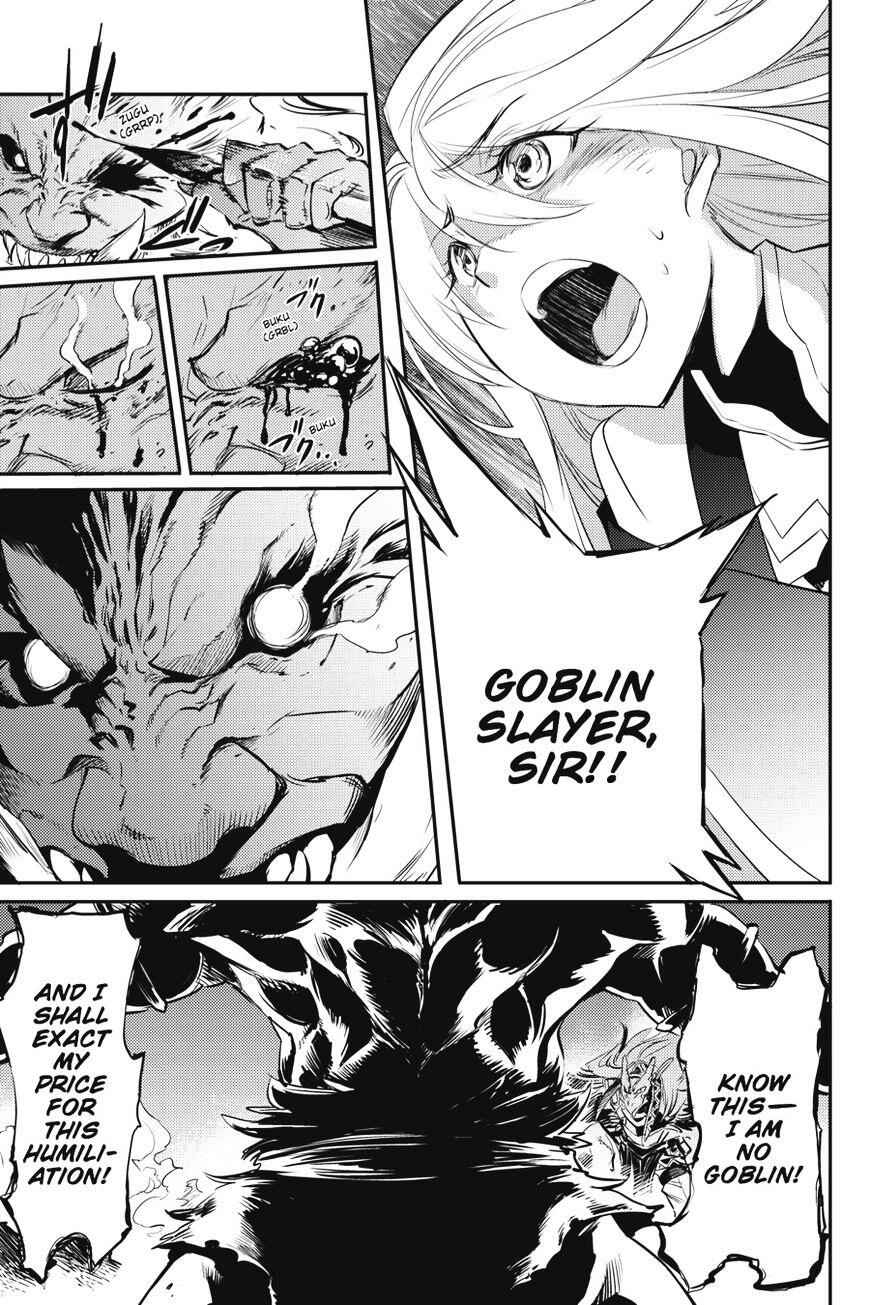 Goblin Slayer Chapter 8 21